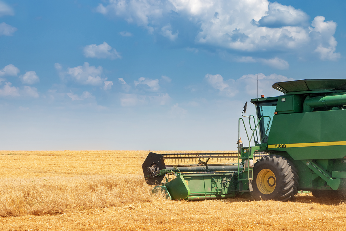 Ökologisierung der ukrainischen Agrarindustrie: Chancen und Risiken