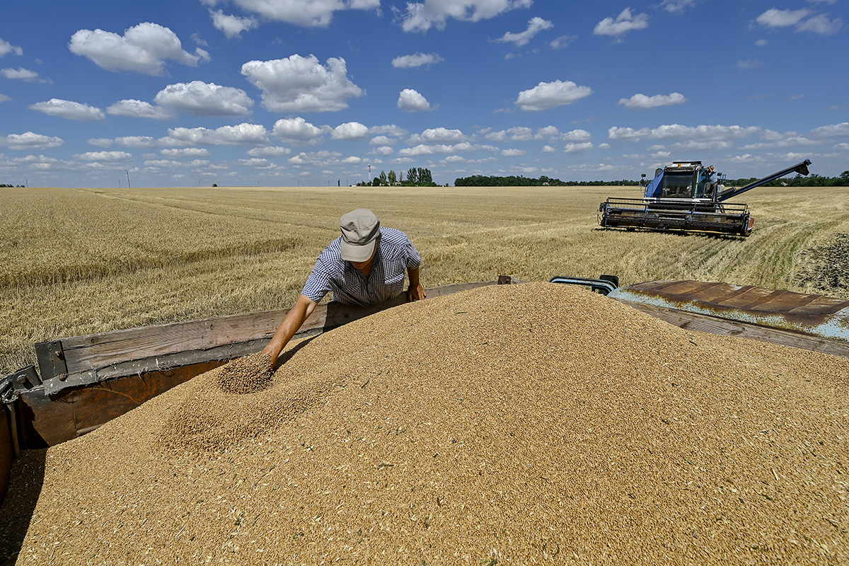 Seit Sommer 2022 konnte die Ukraine viele Produkte quoten- und zollfrei in die EU ausführen. Doch ab dem 6. Juni ist Schluss mit den Zollerleichterungen und es gelten vorerst wieder die gleichen Regeln wie vor dem russischen Großangriff. Der ukrainischen Landwirtschaft drohen dadurch Milliardenverluste. Deshalb hofft Kyjiw auf eine schnelle Einigung mit der EU – doch nicht nur die Bauern in Polen wehren sich dagegen.