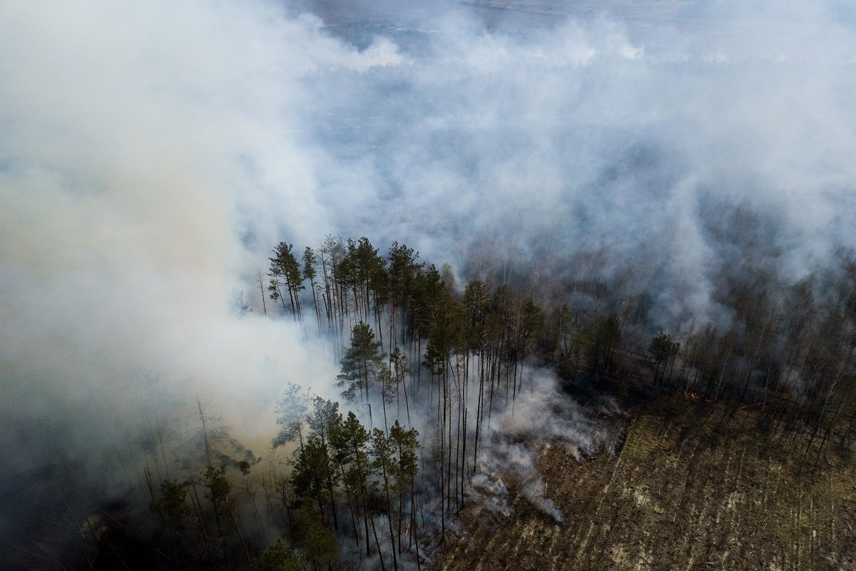 Großbrand zerstört zehn Prozent der Sperrzone von Tschornobyl, trifft Tierwelt und Tourismuspotential